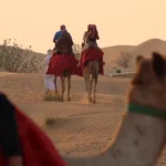 Camel Desert Safari Dubai