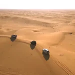 Evening Desert Safari