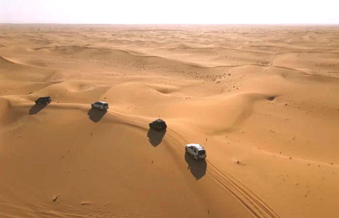 Evening Desert Safari