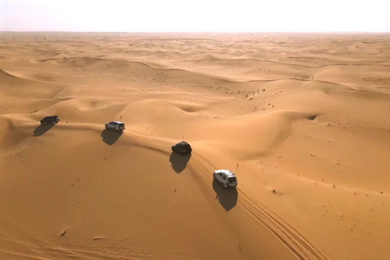 Evening Desert Safari