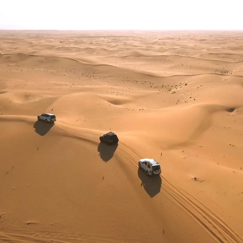 Evening Desert Safari