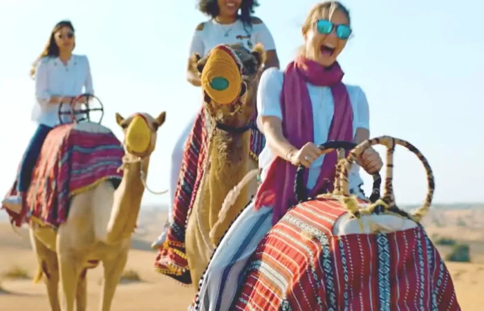 Dubai Camel Ride Safari