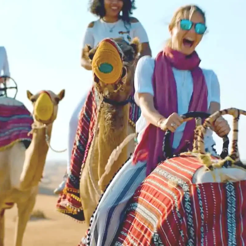 Dubai Camel Ride Safari