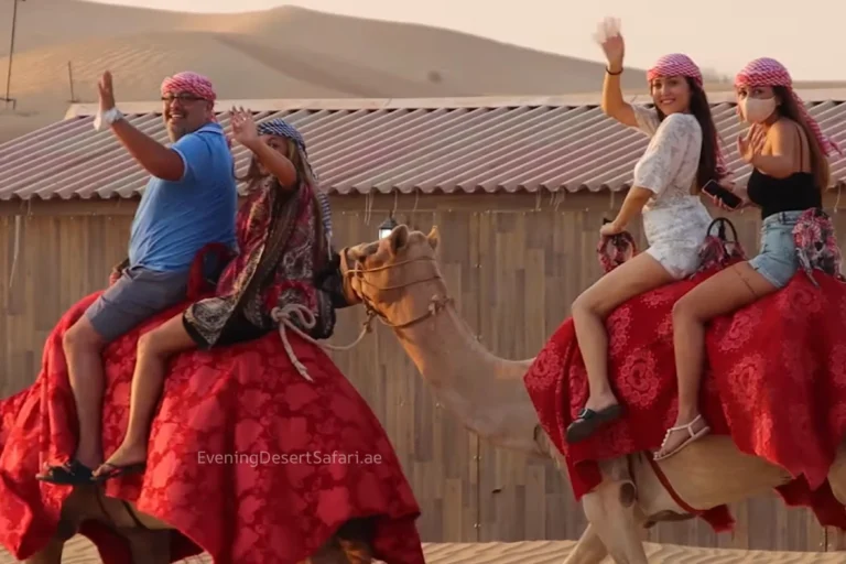 Camel Ride Dubai – Everything You Need to Know Before You Book