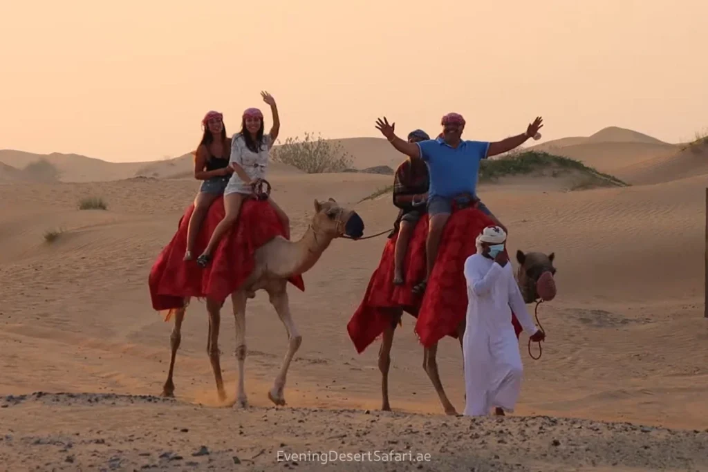 Desert Safari Dubai with Camel Trekking