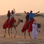 Desert Safari Dubai with Camel Trekking