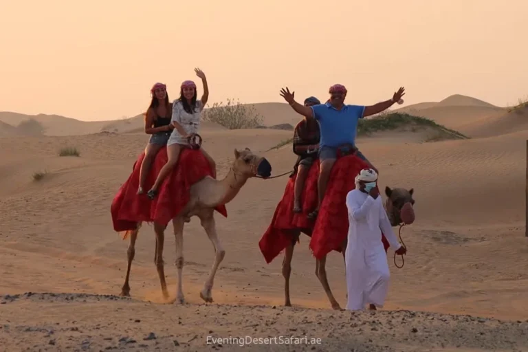 Desert Safari Dubai with Camel Trekking