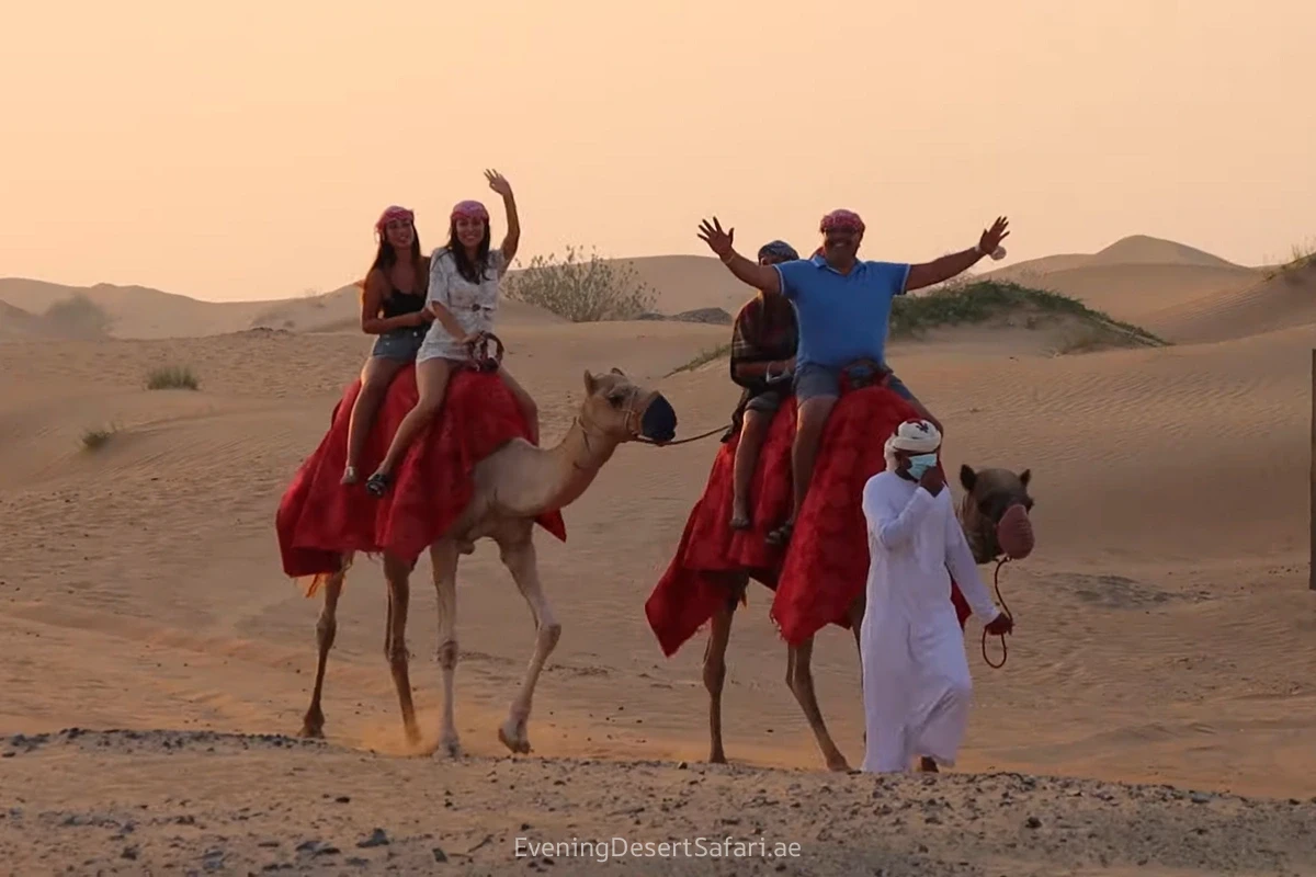 Camel Ride in Dubai