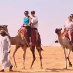 Morning Camel Ride Dubai