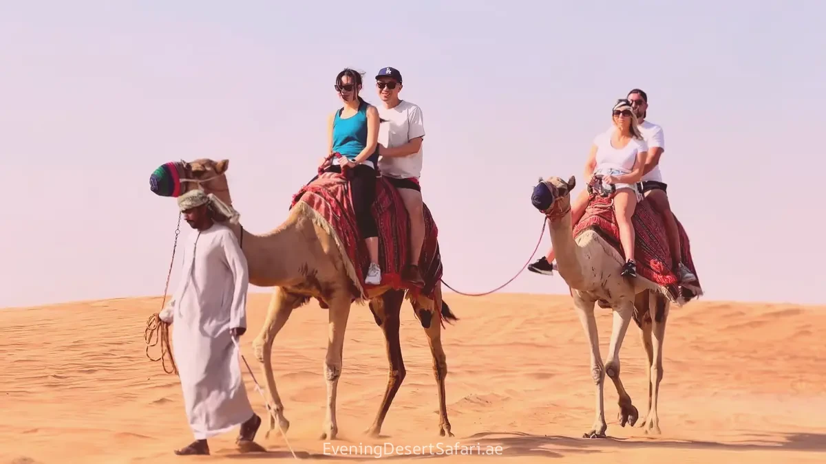 Camel Ride Dubai