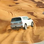 Morning Desert Safari Dubai