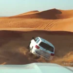 Morning Desert Safari