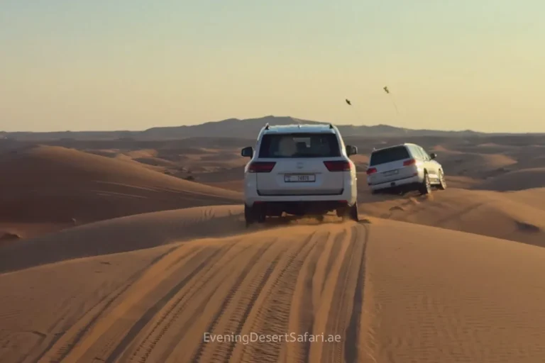 dune drive at Premium evening desert safari dubai 11